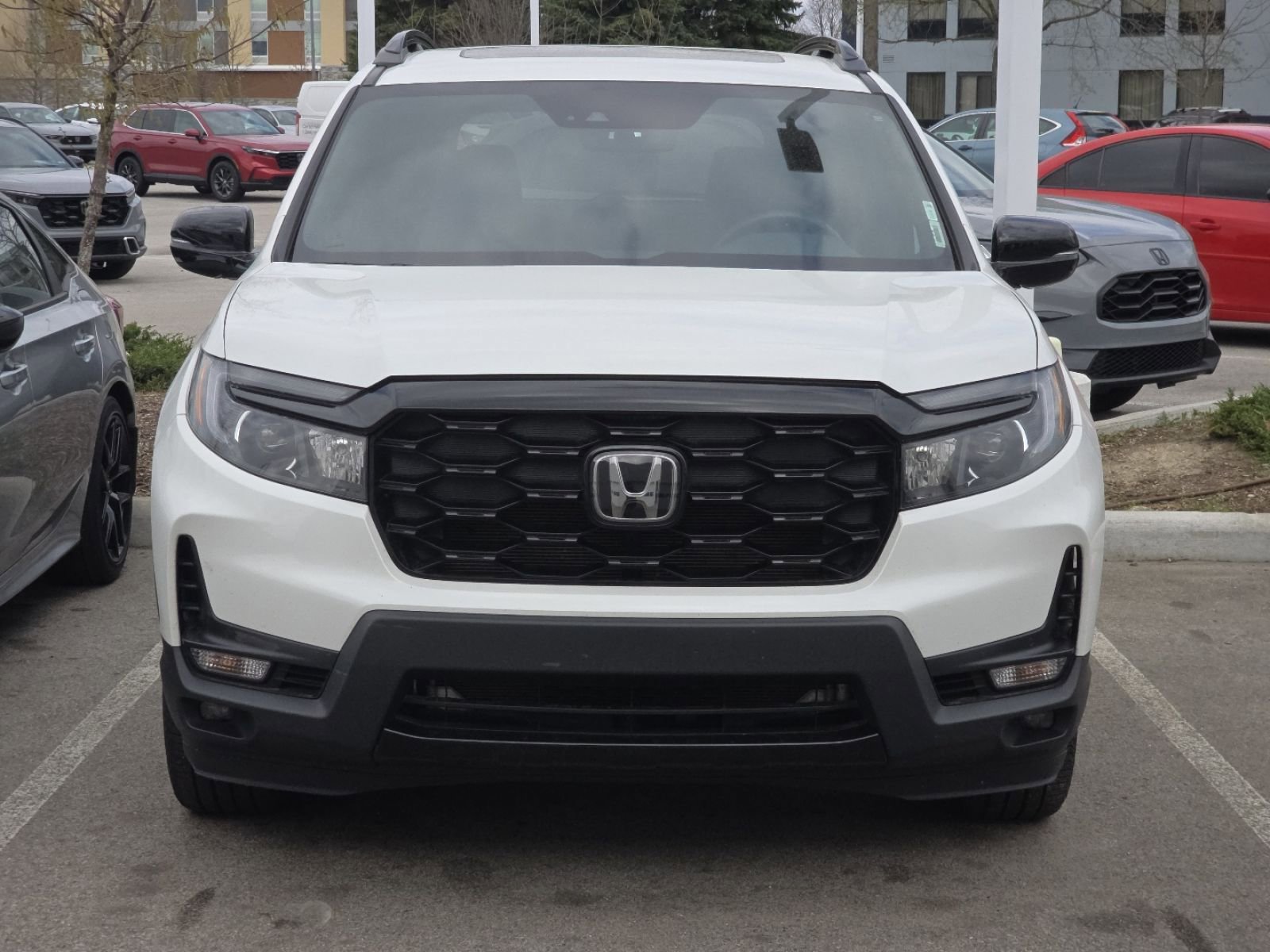 Used 2023 Honda Passport Elite image 4