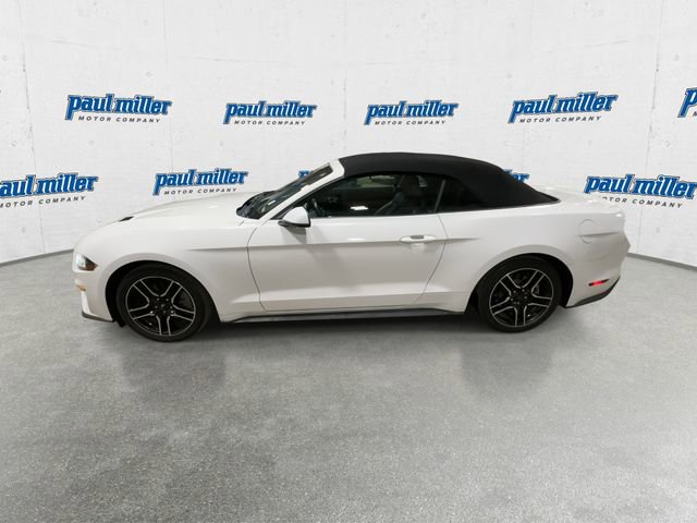 Used 2020 Ford Mustang Premium image 7