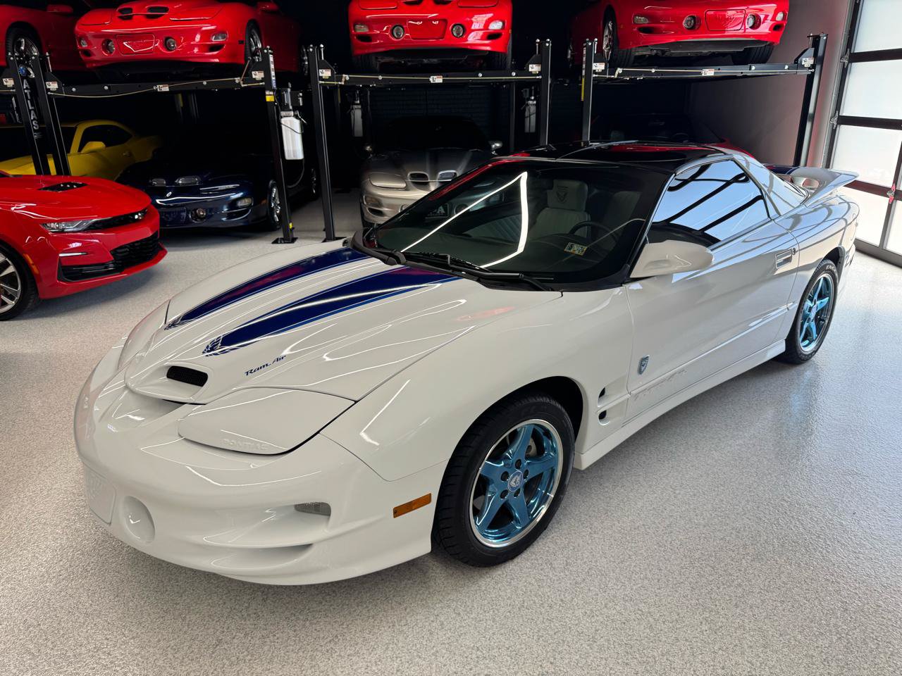Used 1999 Pontiac Firebird Formula RWD image 2