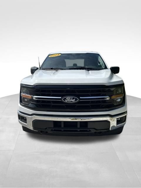 Used 2025 Ford F150 XLT w/ Equipment Group 301A Standard AWD/4WD image 11