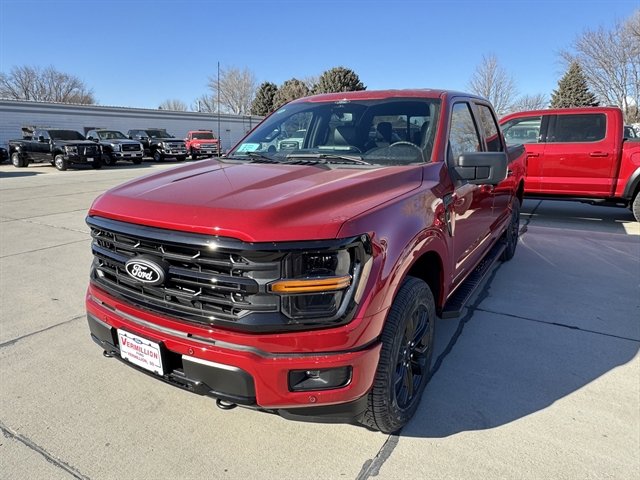 New 2025 Ford F150 XLT w/ Equipment Group 303A High image 8