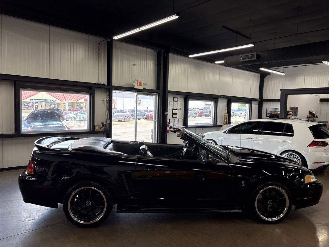 Used 1999 Ford Mustang Cobra RWD image 15