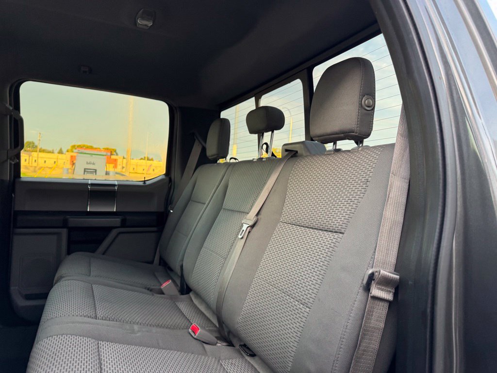 Used 2016 Ford F150 XLT w/ Equipment Group 302A Luxury AWD/4WD image 9