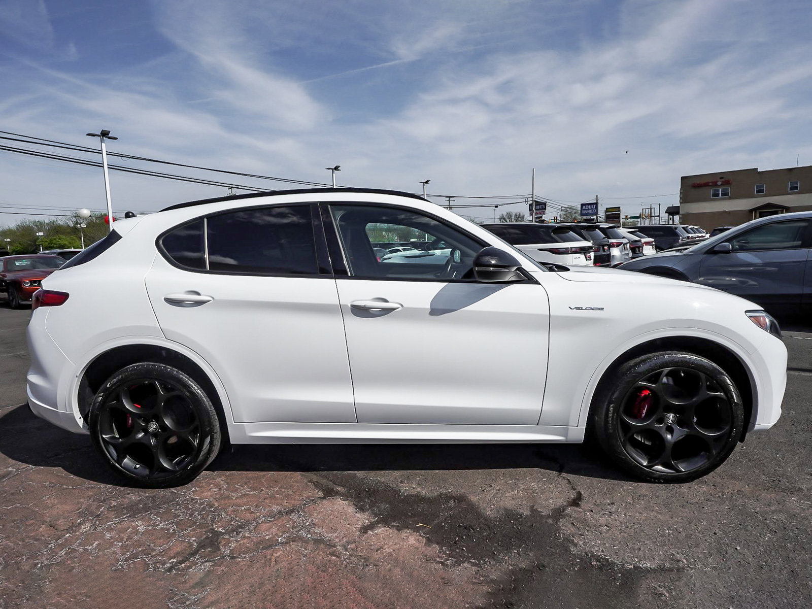 Used 2023 Alfa Romeo Stelvio Veloce image 52