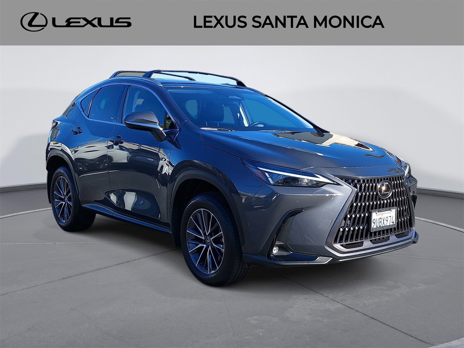 Used 2025 Lexus NX 350h AWD w/ Premium Package image 3