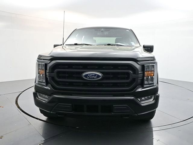 Used 2023 Ford F150 XLT w/ Equipment Group 302A High video 4