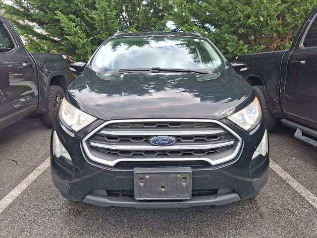 Used 2019 Ford EcoSport SE AWD/4WD image 2