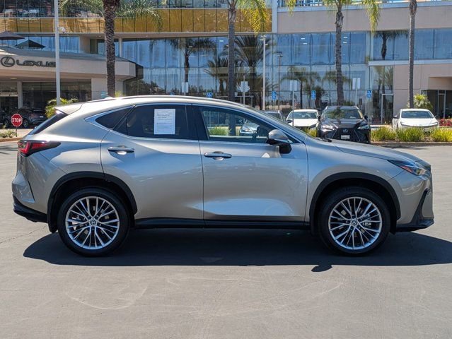 Used 2025 Lexus NX 350h AWD w/ Cold Area Package image 4