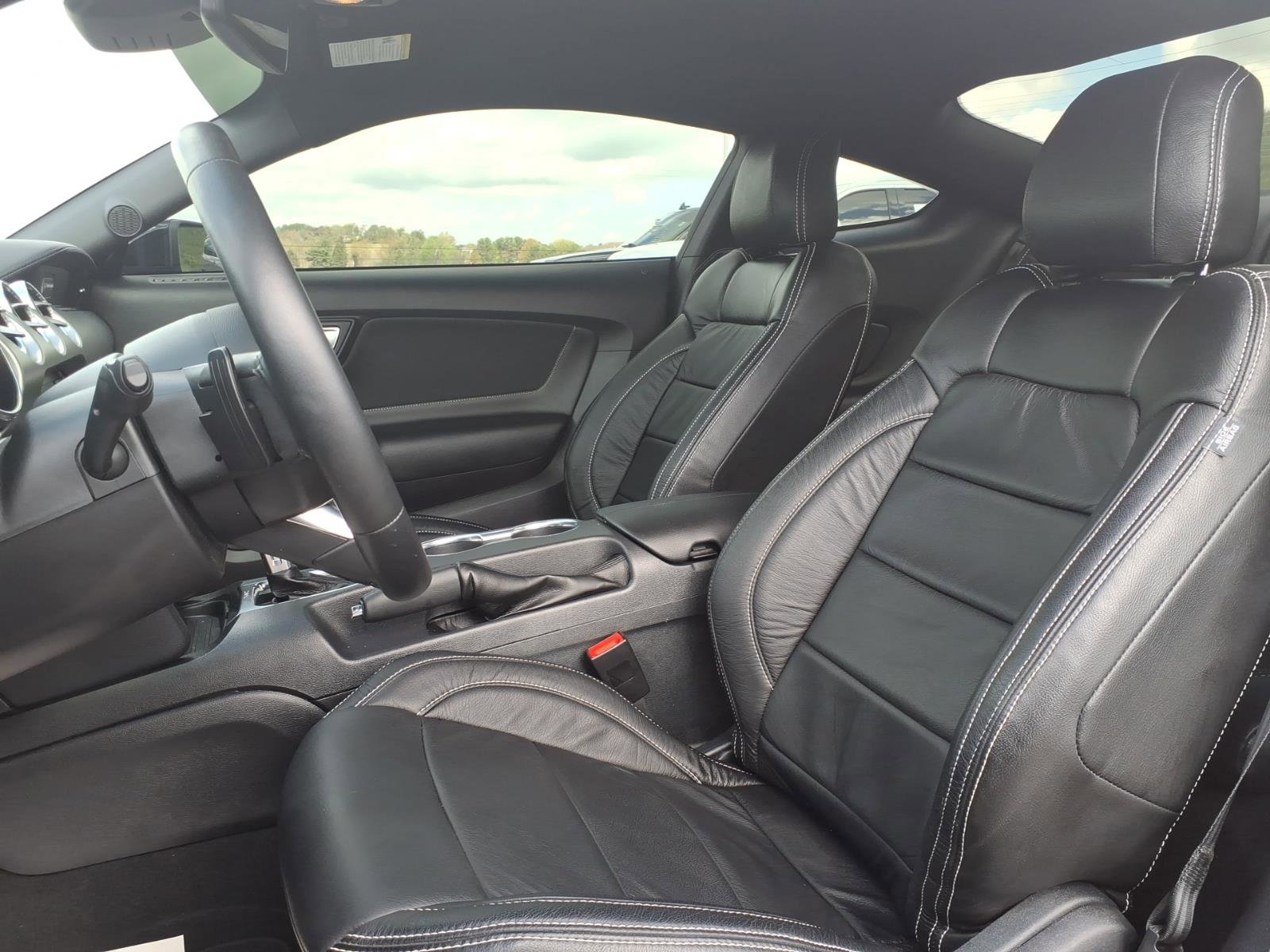 Used 2023 Ford Mustang GT w/ Mustang Nite Pony Package image 8