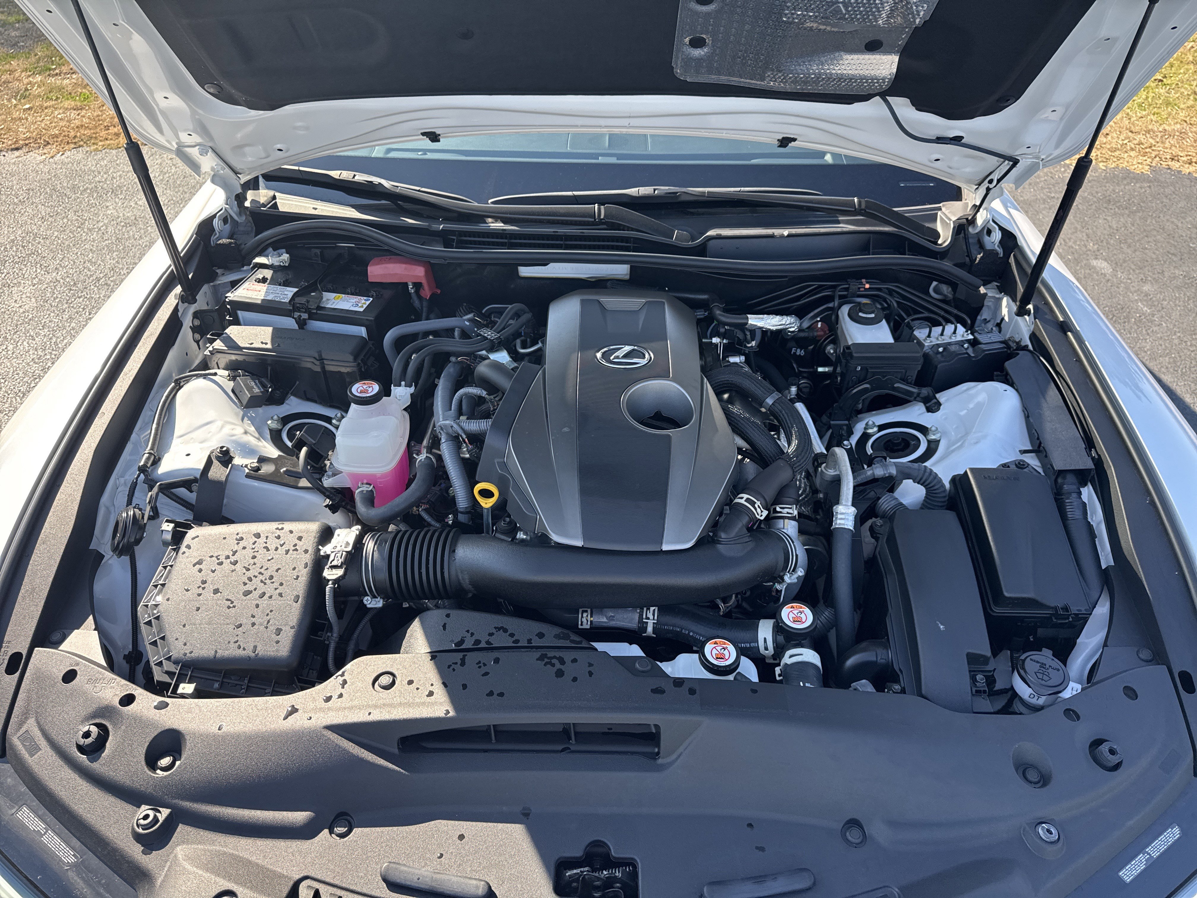 Used 2025 Lexus IS 300 w/ Comfort Package image 38