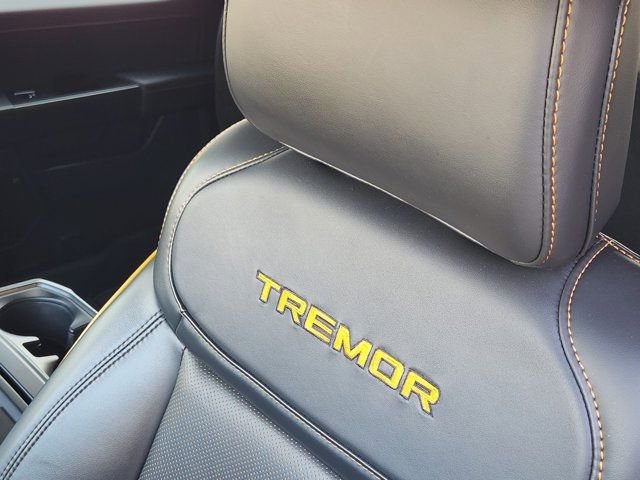 Used 2025 Ford F150 Tremor w/ Equipment Group 402A High image 20