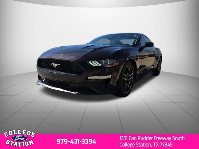 Used 2023 Ford Mustang EcoBoost w/ Equipment Group 101A image 3