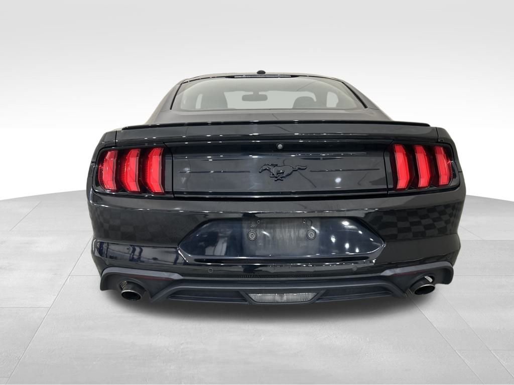 Used 2019 Ford Mustang EcoBoost w/ Equipment Group 101A image 4