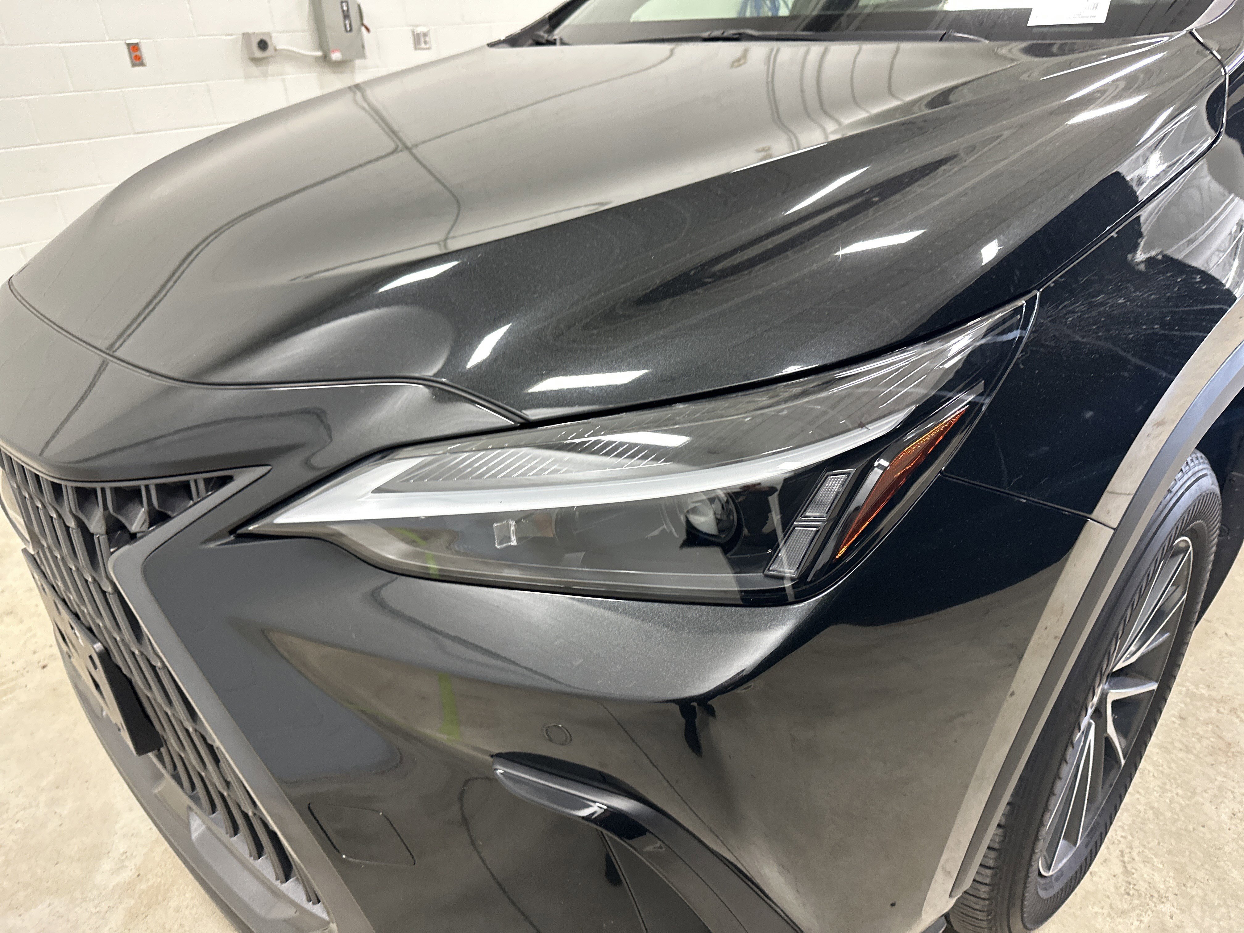 Used 2024 Lexus NX 350 AWD w/ Cold Area Package image 6