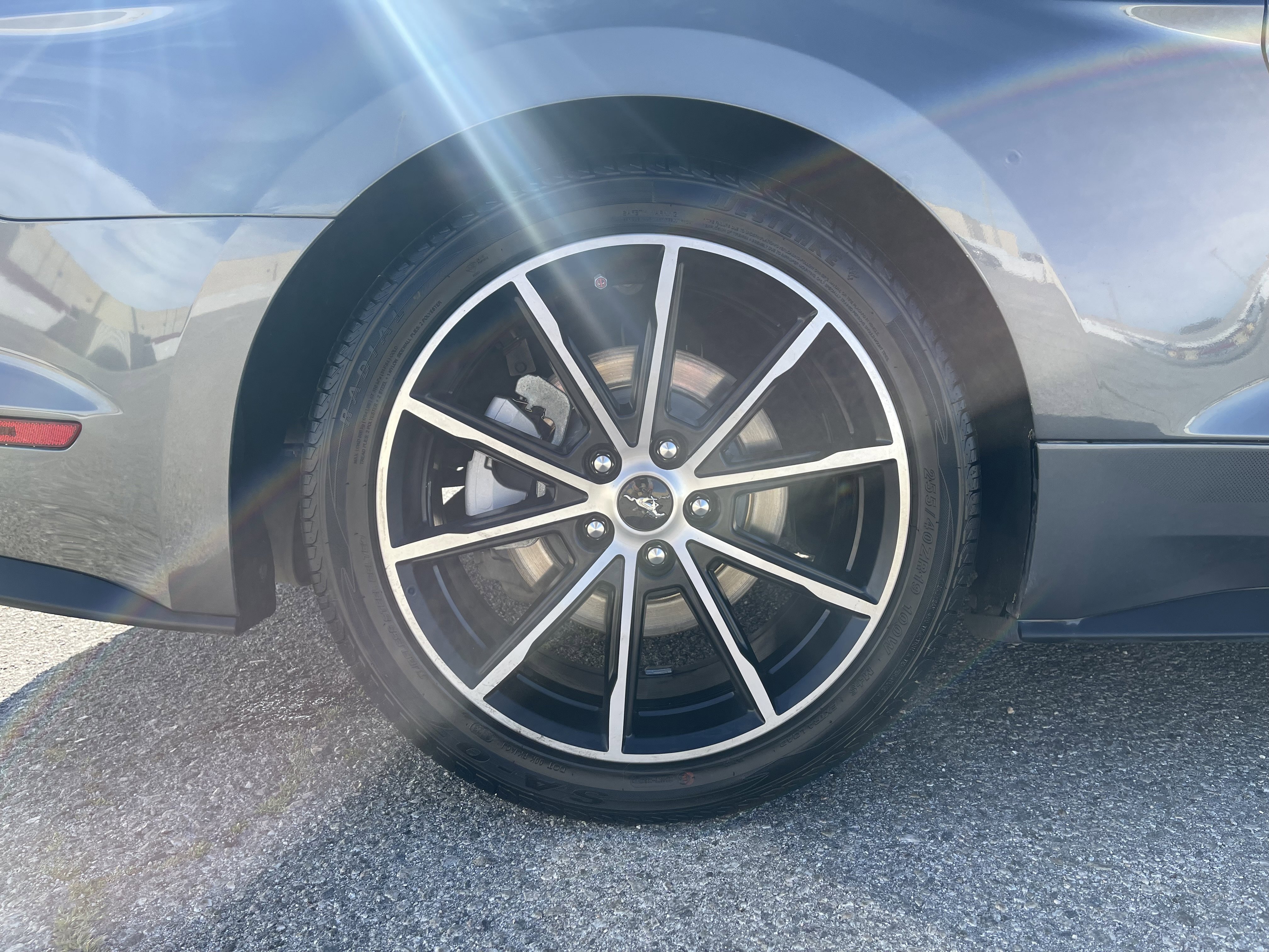 Used 2022 Ford Mustang EcoBoost image 8