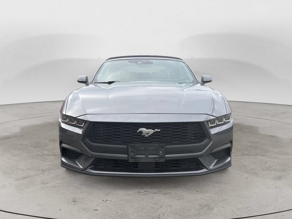 Used 2024 Ford Mustang Premium RWD image 8
