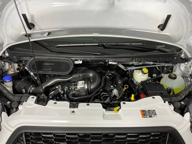 New 2026 Ford Transit 250 Low Roof w/ Load Area Protection Package image 9