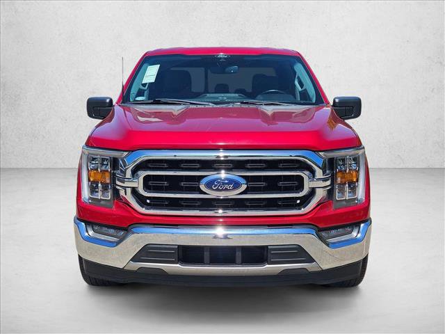 Used 2021 Ford F150 XLT w/ Equipment Group 302A High image 2