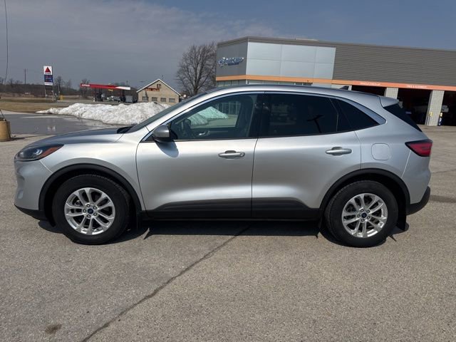 Used 2020 Ford Escape SE image 6