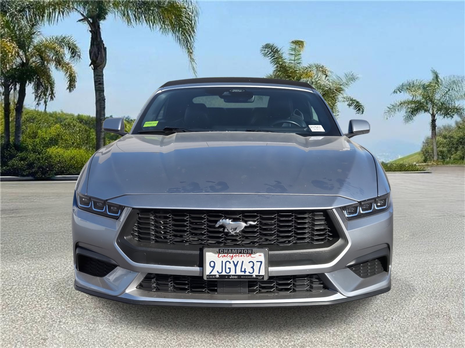 Used 2024 Ford Mustang Premium RWD image 3