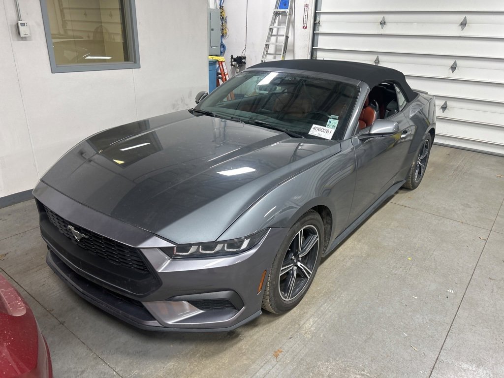 Used 2024 Ford Mustang Premium image 1