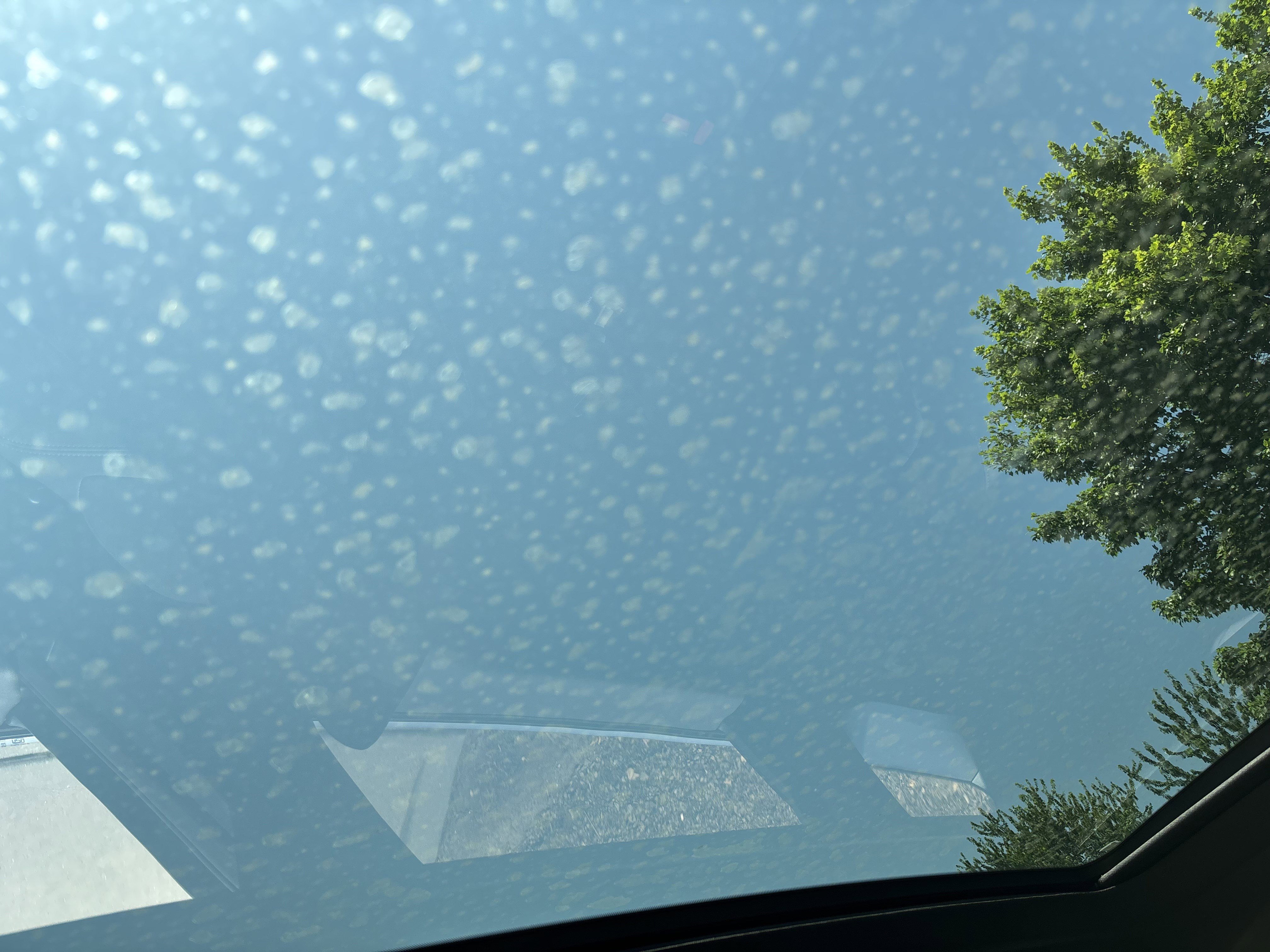 Certified 2025 BMW X3 xDrive30i w/ Convenience Package image 31