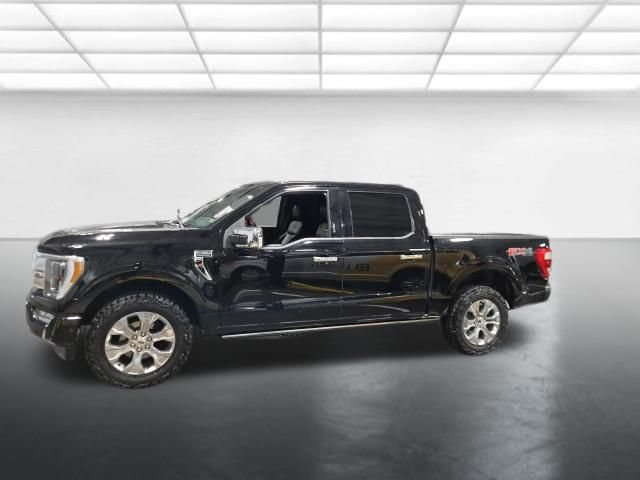 Used 2021 Ford F150 Platinum w/ Equipment Group 701A High AWD/4WD image 8