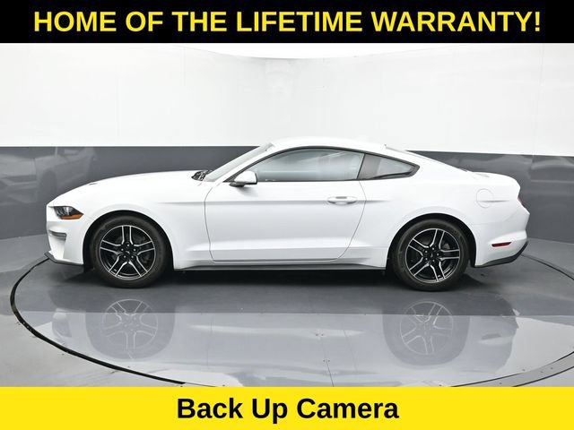 Used 2023 Ford Mustang Coupe RWD image 4