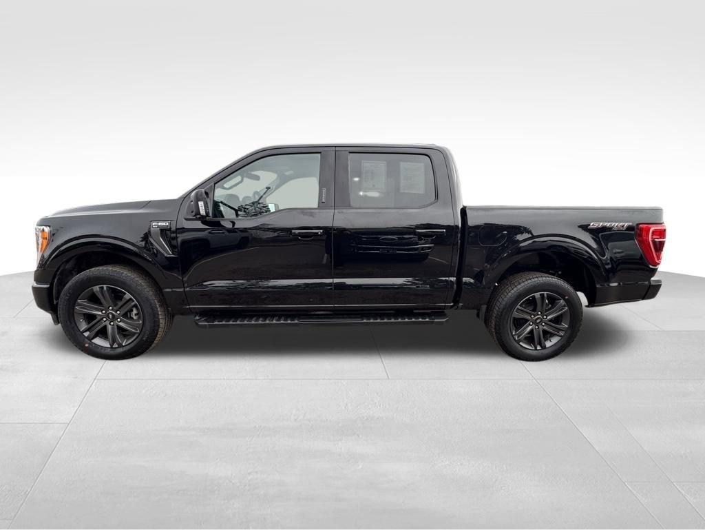 Used 2023 Ford F150 XLT w/ Equipment Group 302A High image 12