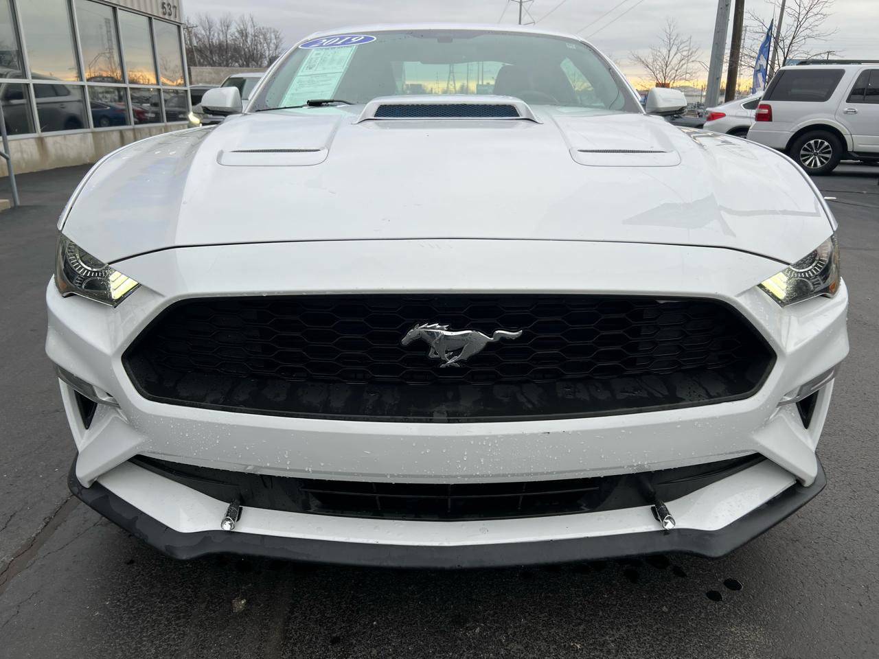 Used 2019 Ford Mustang Premium image 9