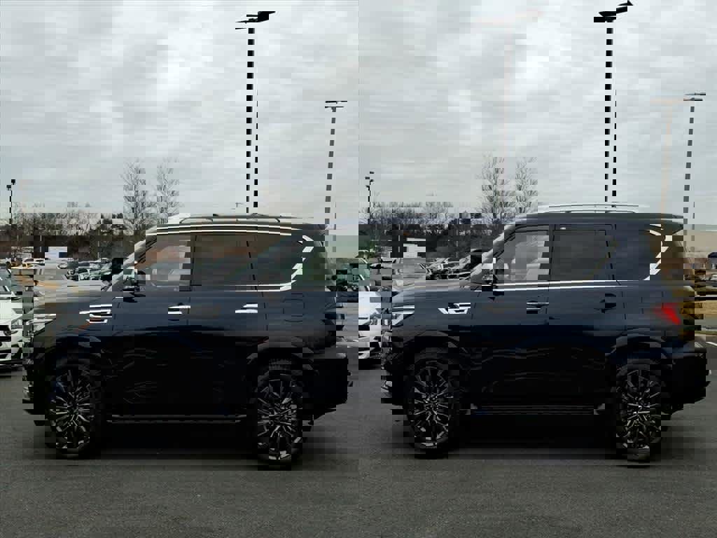 Certified 2024 INFINITI QX80 Sensory w/ Cargo Package image 5