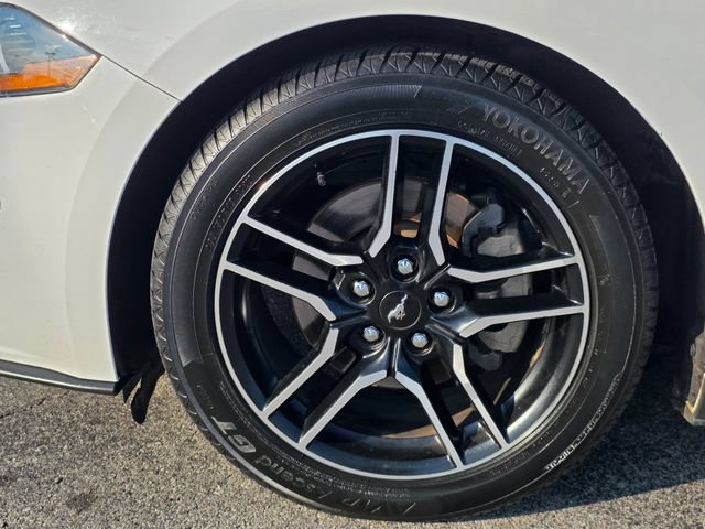 Used 2018 Ford Mustang Coupe w/ Equipment Group 101A RWD image 6