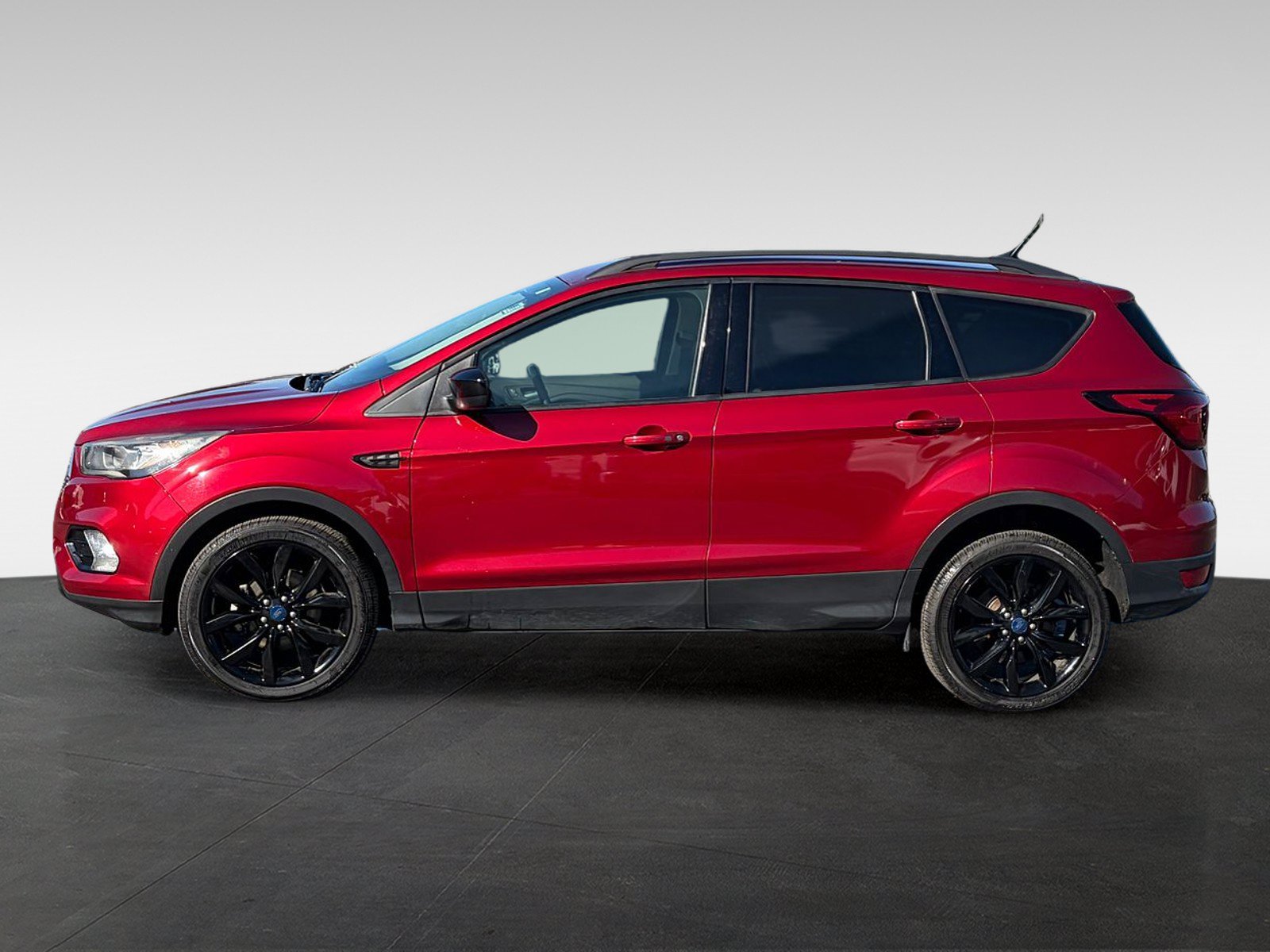 Used 2019 Ford Escape SE FWD image 8