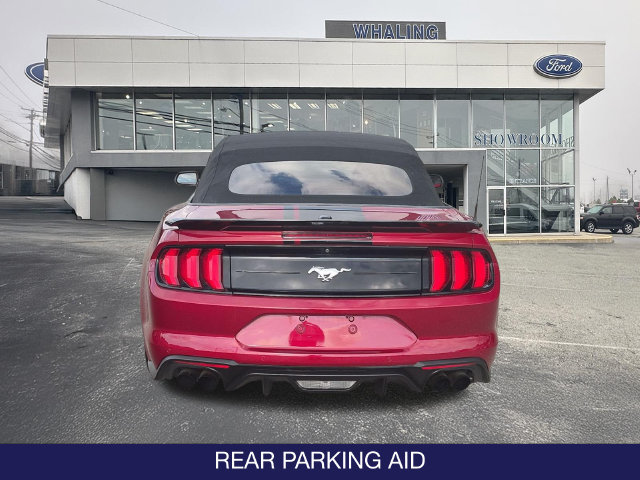 Used 2019 Ford Mustang Premium w/ Ecoboost Performance Package RWD image 7