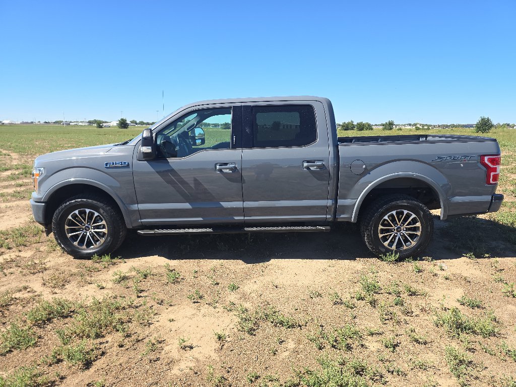Used 2019 Ford F150 XLT w/ Equipment Group 302A Luxury AWD/4WD image 8