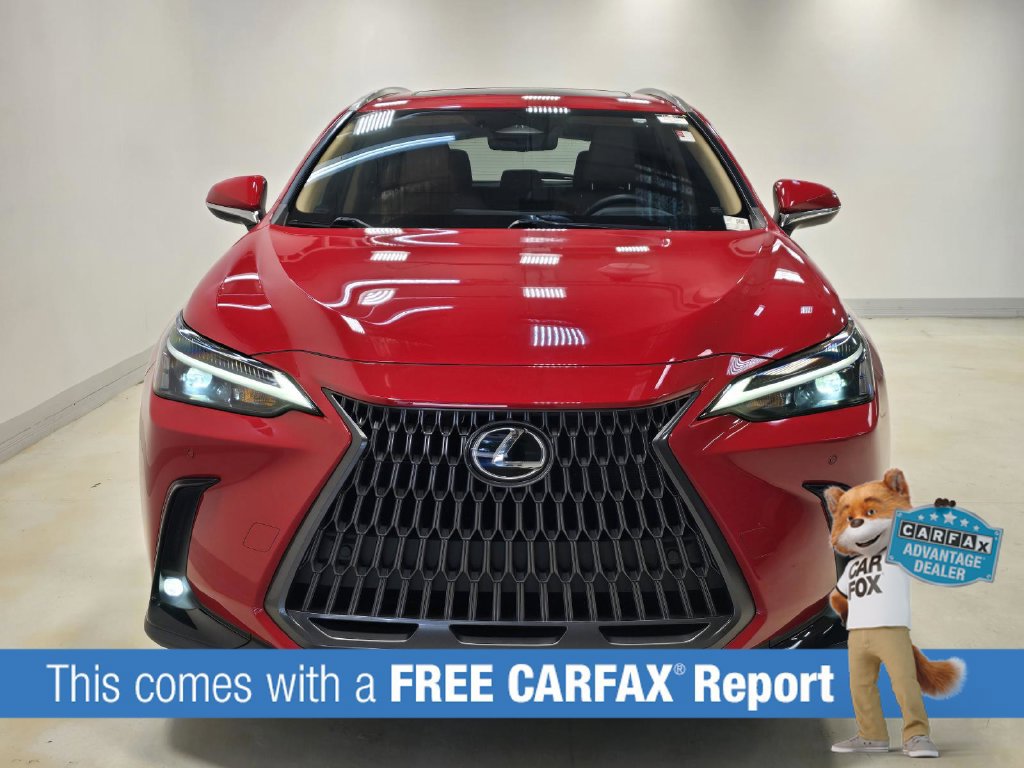Used 2024 Lexus NX 350h AWD image 2