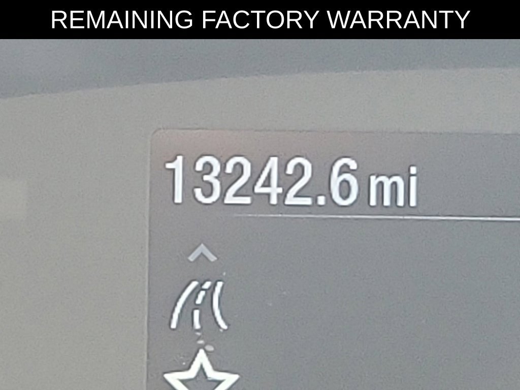 Used 2025 Ford Transit 250 Low Roof w/ Exterior Upgrade Package RWD image 24