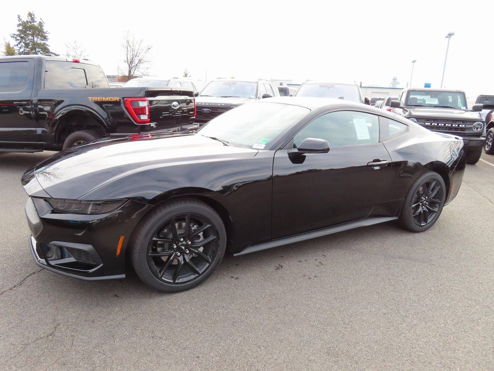 New 2026 Ford Mustang EcoBoost w/ Mustang Nite Pony Package image 3