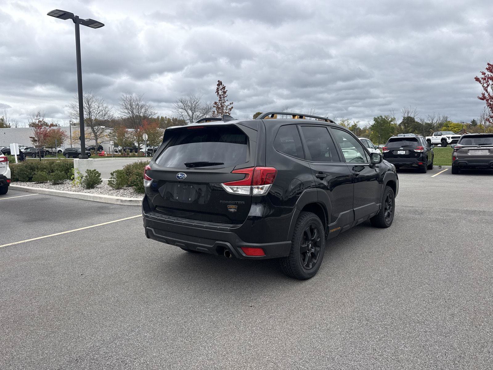 Used 2023 Subaru Forester Wilderness AWD/4WD image 6