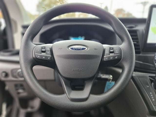 New 2024 Ford Transit 250 Low Roof w/ Load Area Protection Package RWD image 21