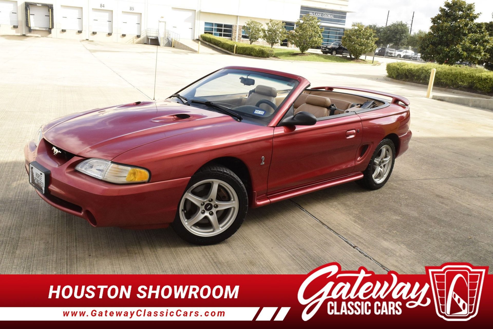 Used 1998 Ford Mustang Cobra image 1