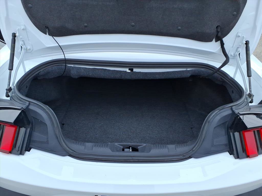 Used 2024 Ford Mustang Premium image 13