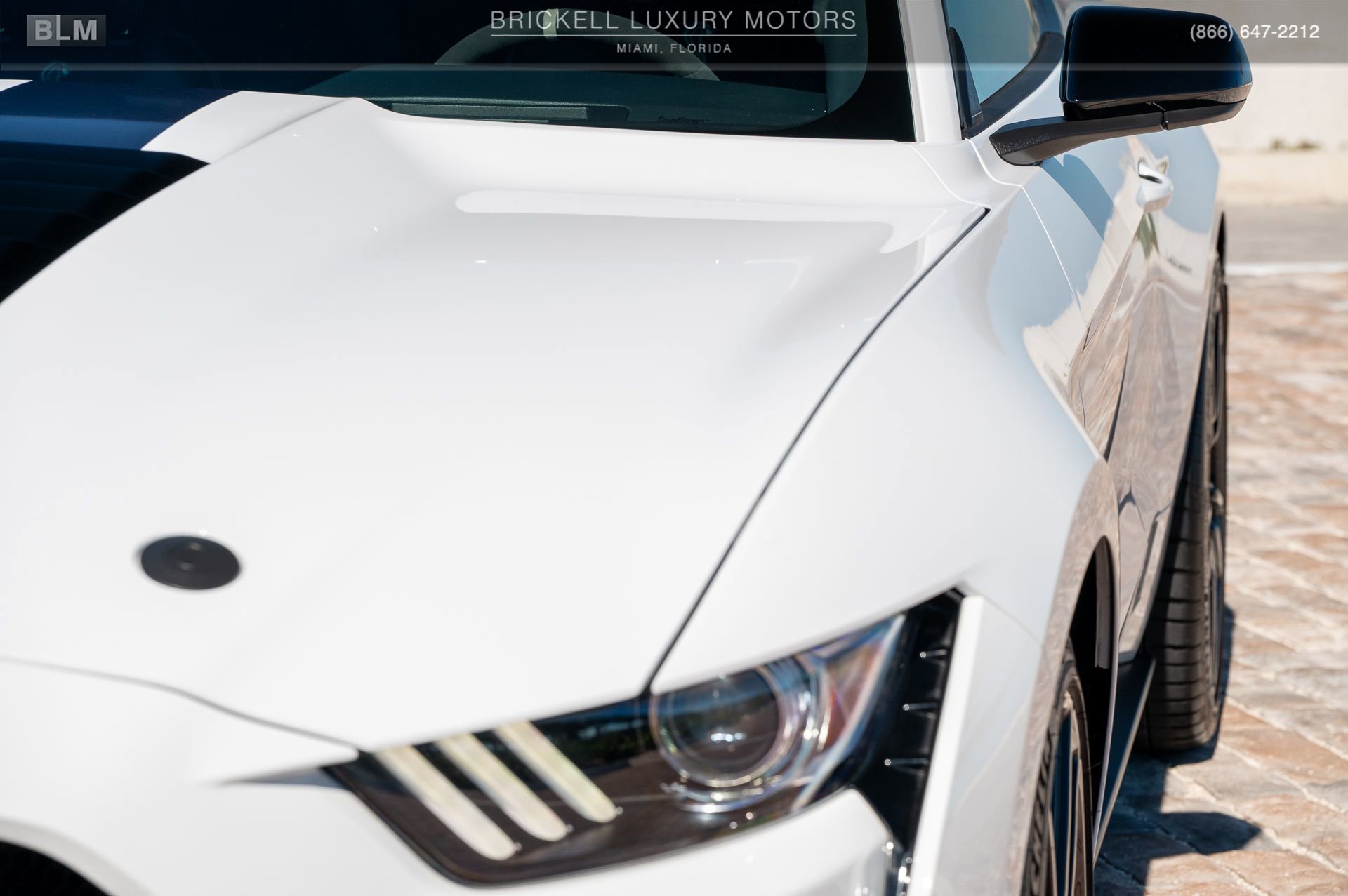 Used 2022 Ford Mustang Shelby GT500 w/ Handling Package image 48