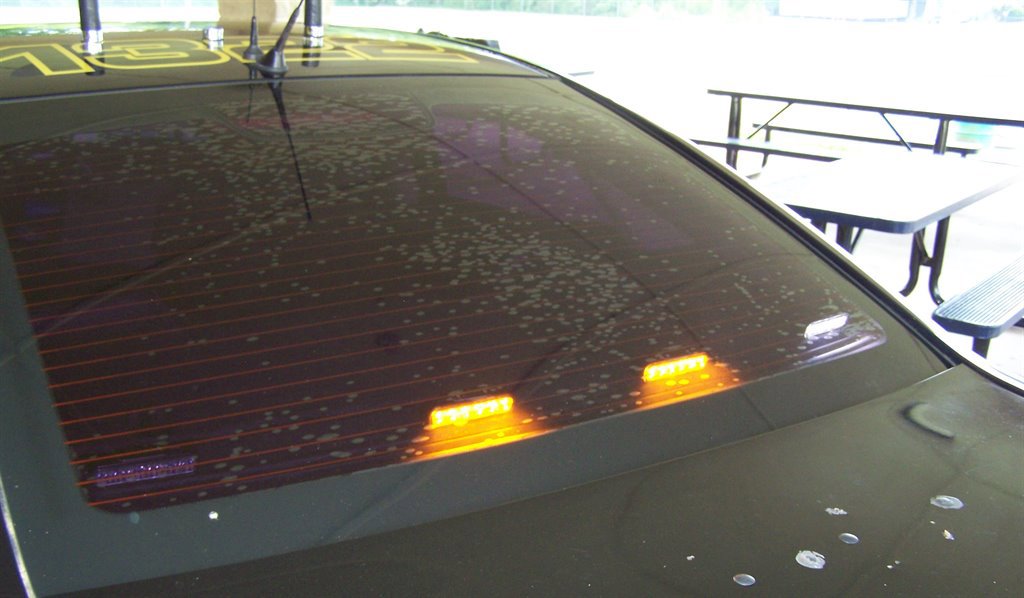 Used 2012 Chevrolet Caprice image 30