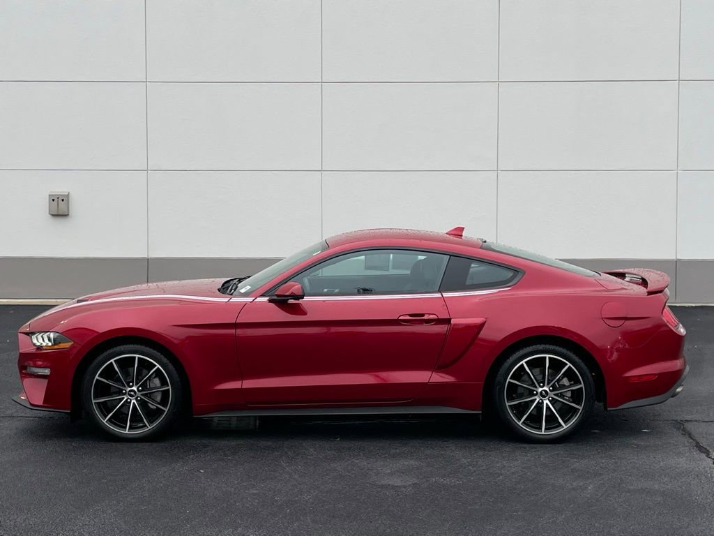 Used 2023 Ford Mustang Premium w/ Equipment Group 201A image 2