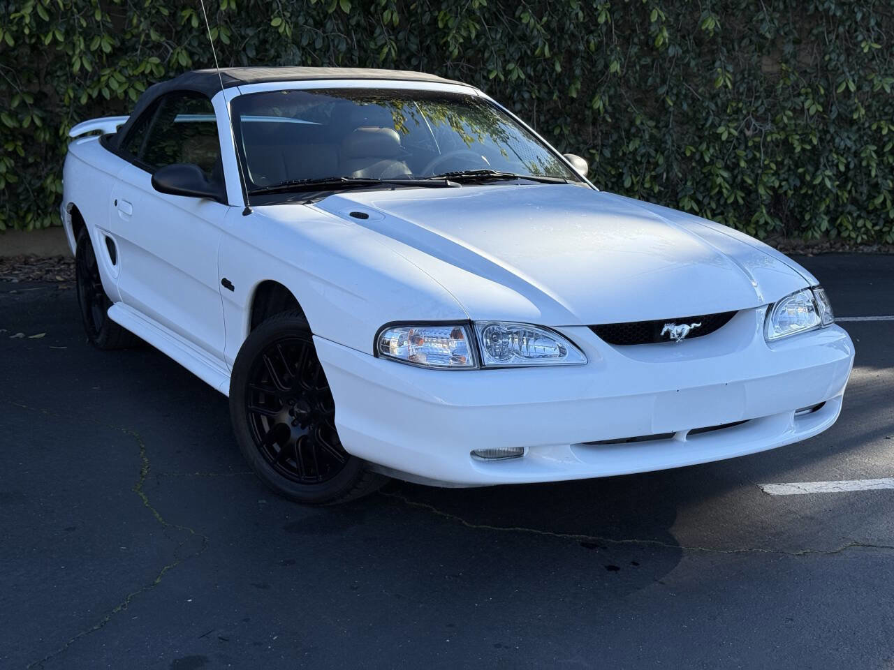 Used 1996 Ford Mustang GT RWD image 2
