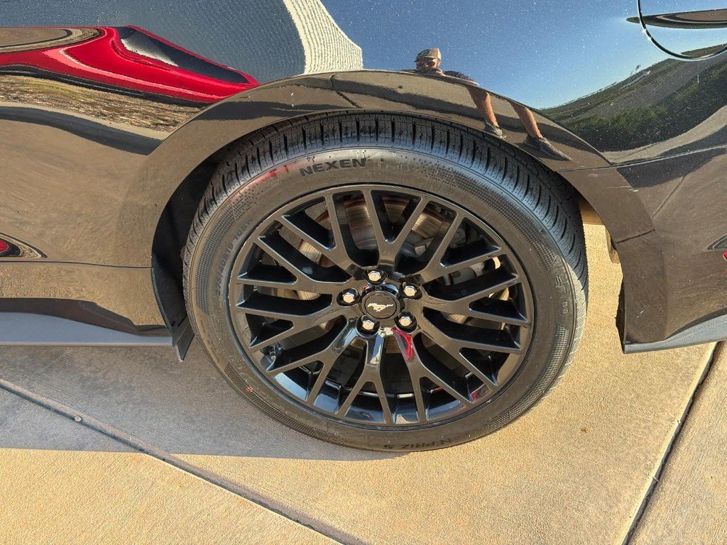Used 2019 Ford Mustang GT Premium w/ Enhanced Security Package RWD image 7