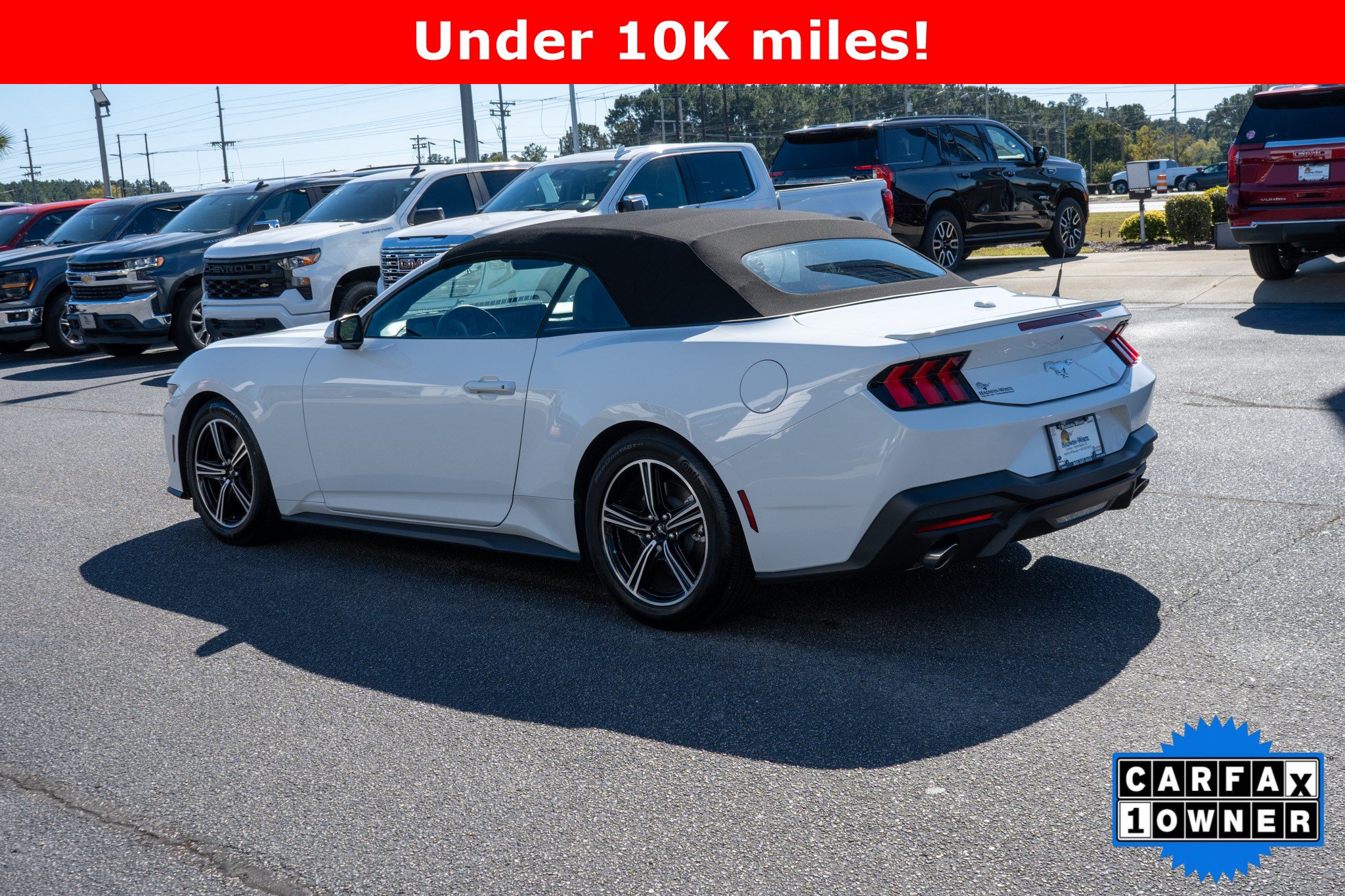 Used 2024 Ford Mustang Premium RWD image 5