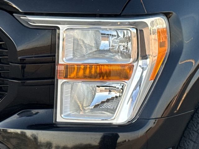 Used 2021 Ford F150 XL w/ STX Appearance Package RWD image 4