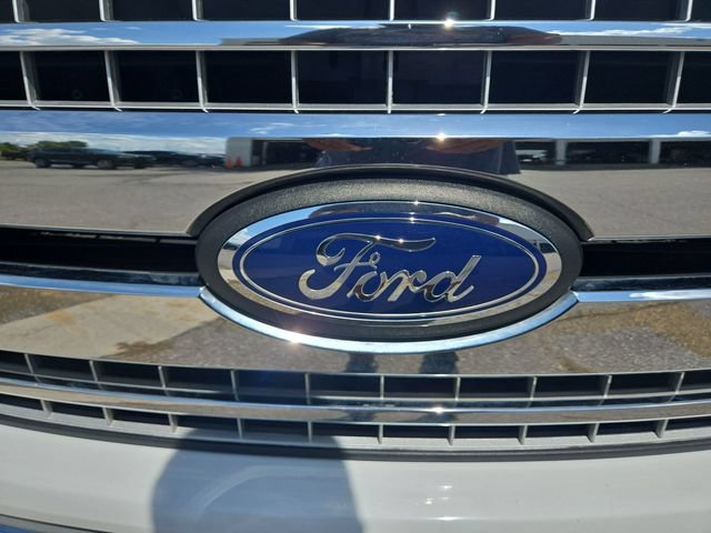 Used 2019 Ford F150 XLT w/ Equipment Group 302A Luxury RWD image 10